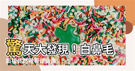 白鼻毛面相|【白鼻毛面相】白鼻毛面相：揭開鼻毛岔出的7大破財漏財奧秘